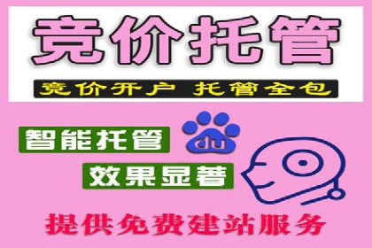 某知名企业SEM营销全案解析